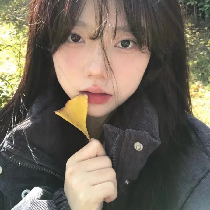 陷落于你的暮光